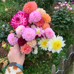 Boeketje uit de bloementuin